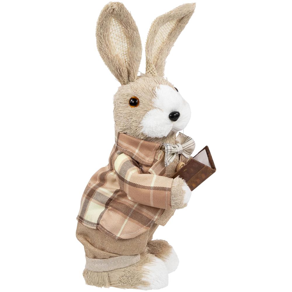 Boy Easter Rabbit Figurine with Plaid Jacket - 12" - Beige. Picture 2
