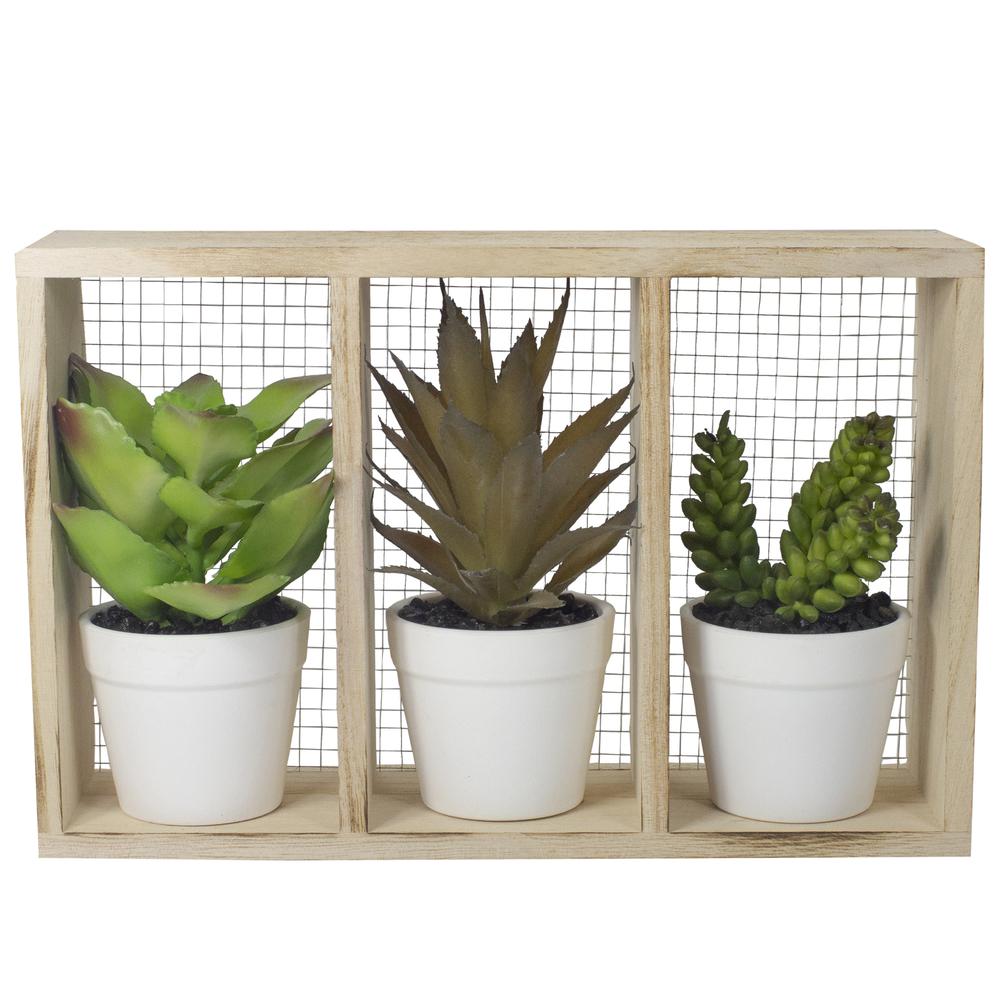 10.75" Artificial Mixed Potted Succulents in Wooden Box. Picture 1