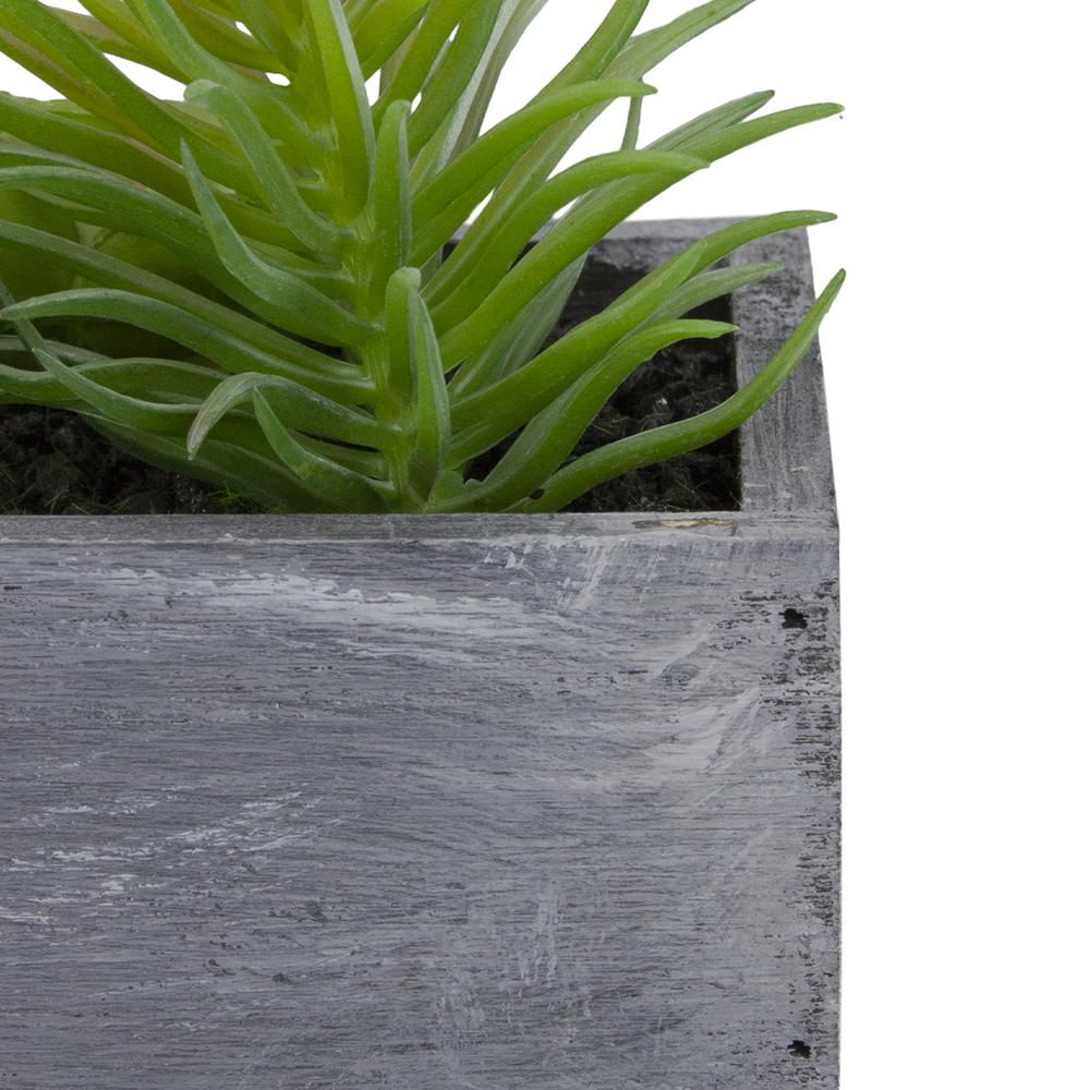 12" Artificial Mixed Succulent Plants in a Rectangular Planter. Picture 5