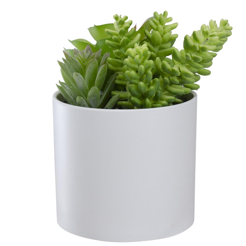 5.5" Mixed Artificial Succulent Arrangement in a White Pot. Picture 3