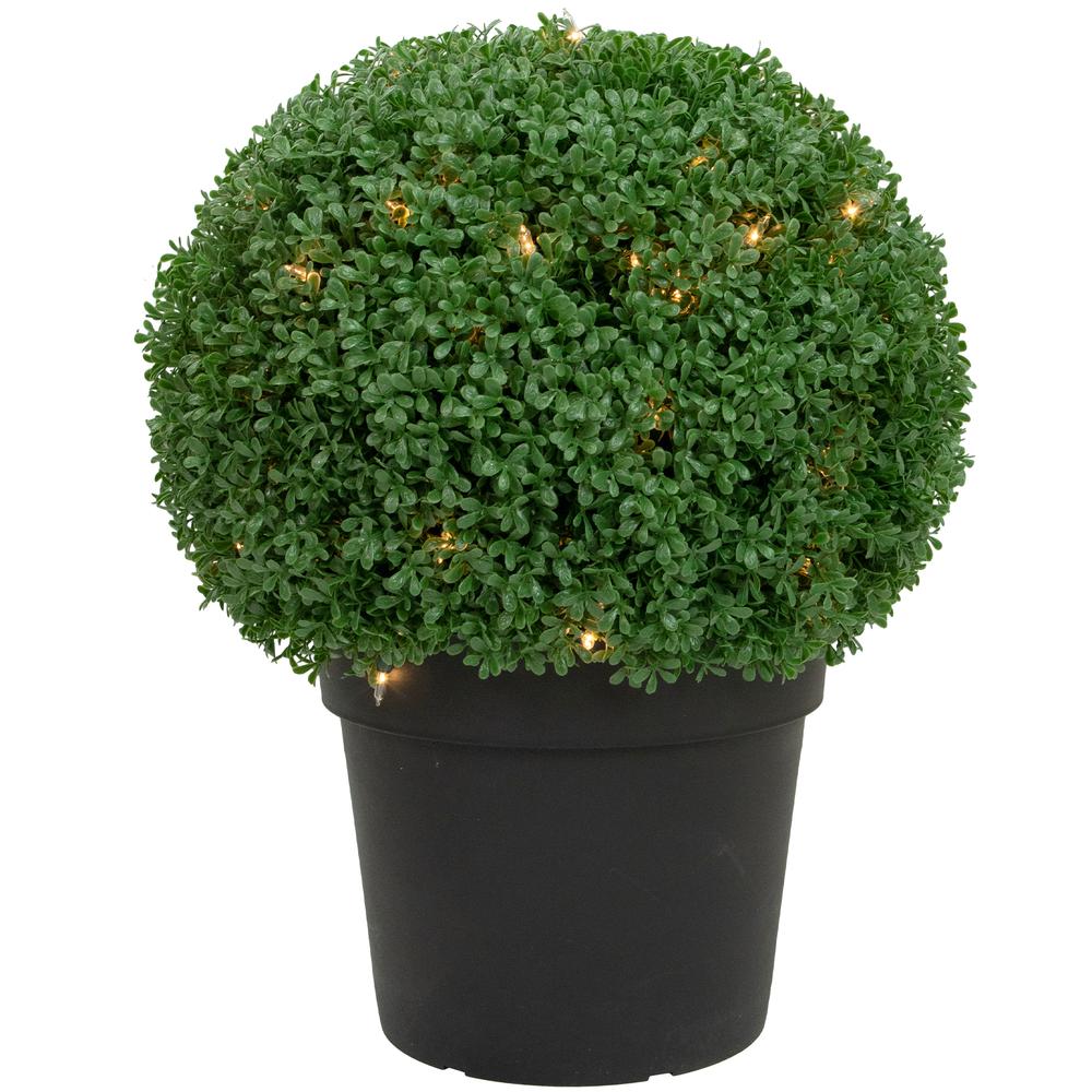 20" Pre-Lit Artificial Boxwood Ball Topiary in Round Pot  Clear Lights. Picture 1