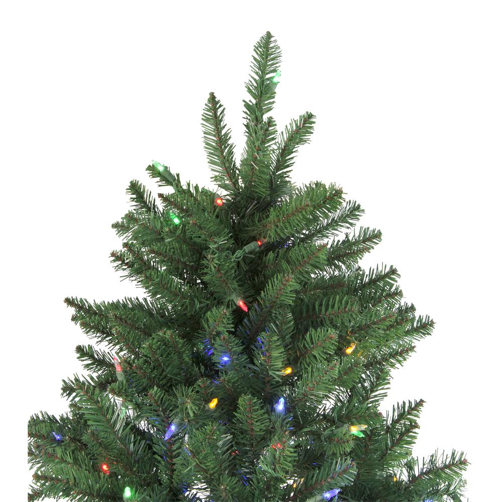 6.5' Pre-Lit Medium Neola Fraser Fir Artificial Christmas Tree - Dual LED Lights. Picture 4