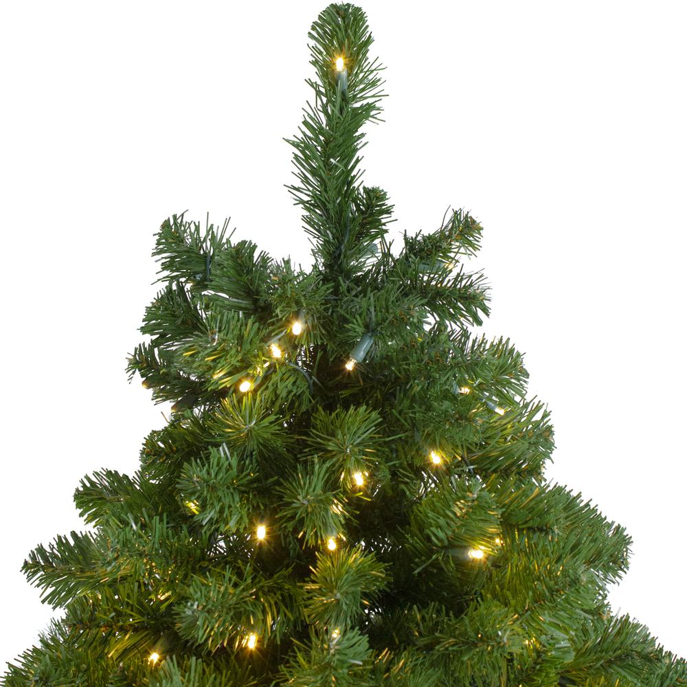 7.5' Pre-Lit Slim Olympia Pine Artificial Christmas Tree - Warm White Lights. Picture 4