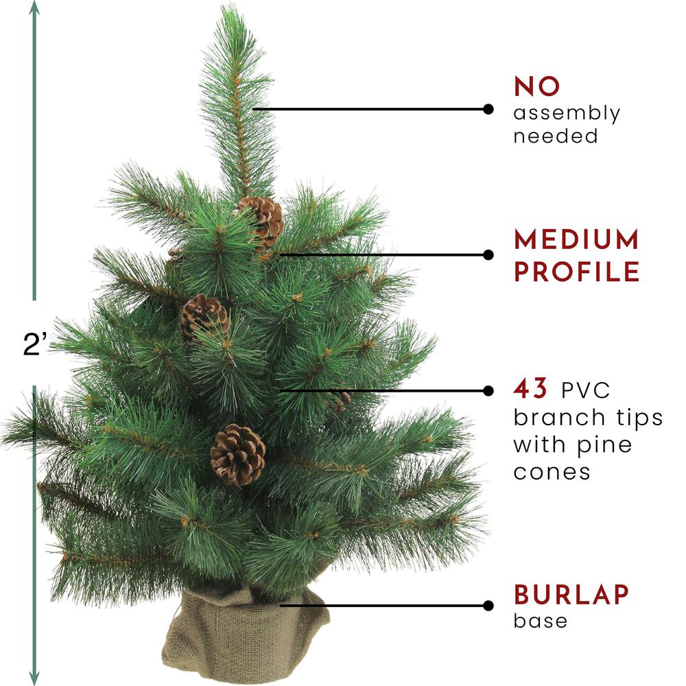 2' Medium Royal Oregon Pine Burlap Base Artificial Christmas Tree - Unlit. Picture 3