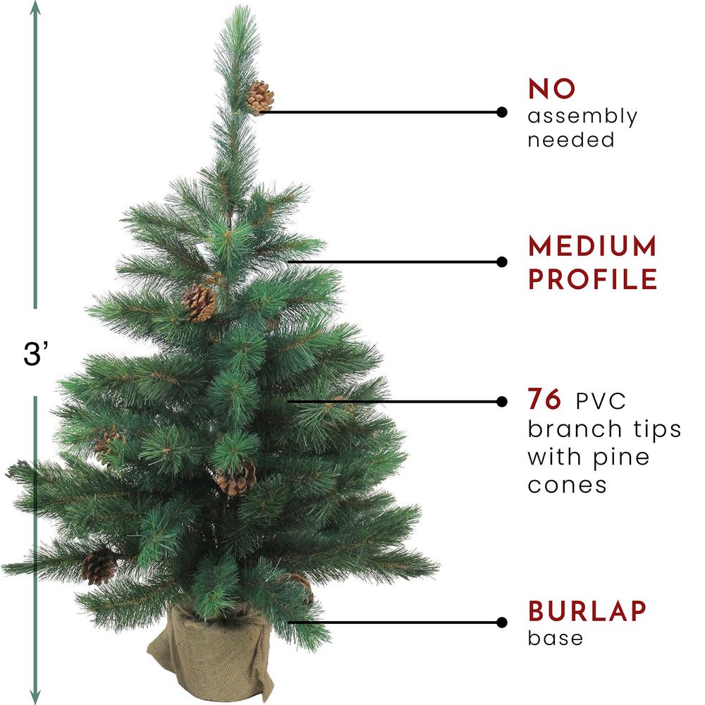 3' Potted Royal Oregon Pine Burlap Base Full Artificial Christmas Tree - Unlit. Picture 3