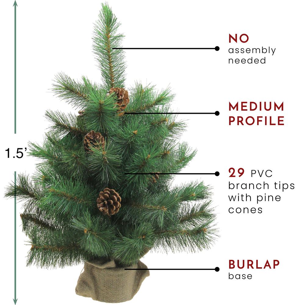 18" Medium Royal Oregon Pine Burlap Base Artificial Christmas Tree - Unlit. Picture 3