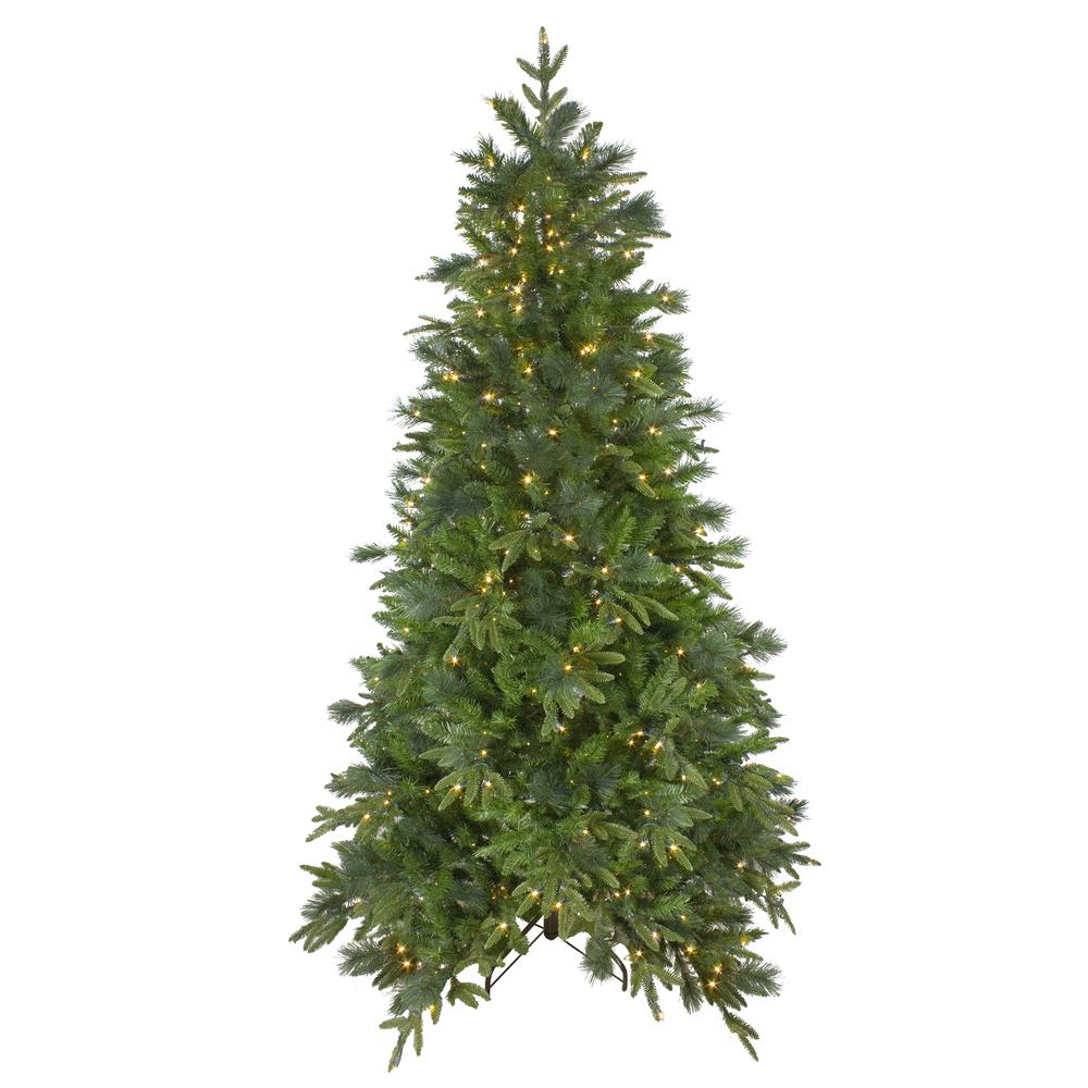 6.5' Pre-Lit Rosemary Emerald Angel Pine Artificial Christmas Tree - Warm White LED Lights. Picture 1