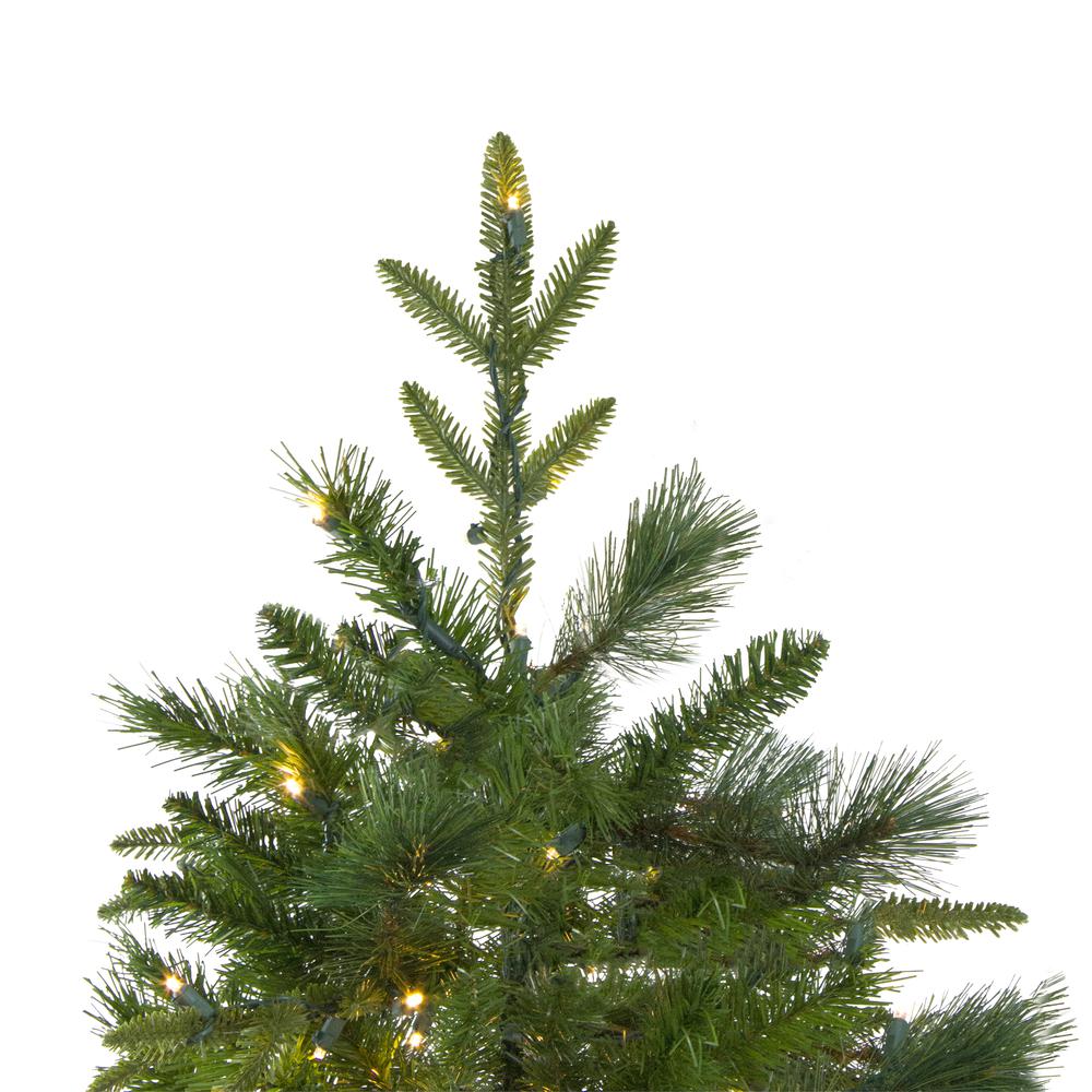 6.5' Pre-Lit Rosemary Emerald Angel Pine Artificial Christmas Tree - Warm White LED Lights. Picture 5