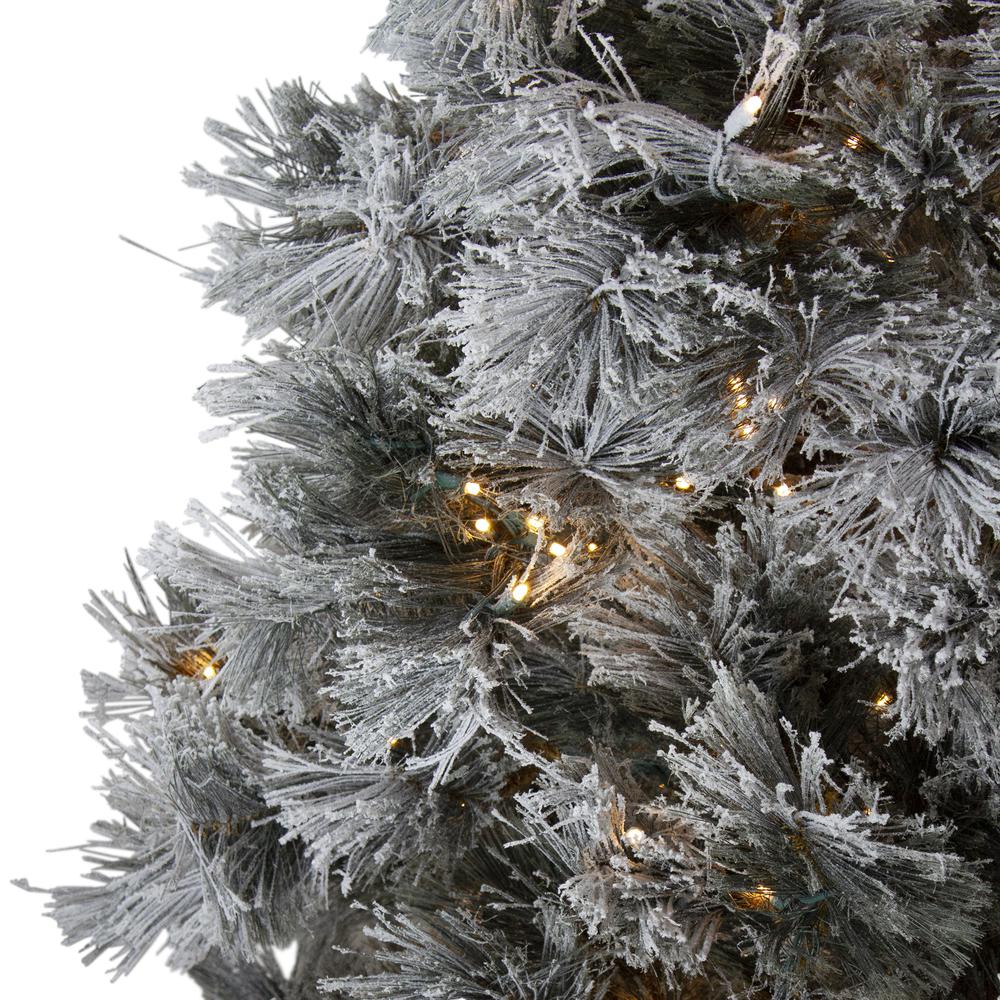 7.5' Pre-Lit Black Spruce Artificial Christmas Tree - Clear LED Lights. Picture 3