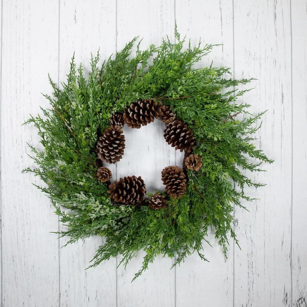 Frosted Cedar and Pine Cone Artificial Christmas Wreath  26-Inch  Unlit. Picture 2