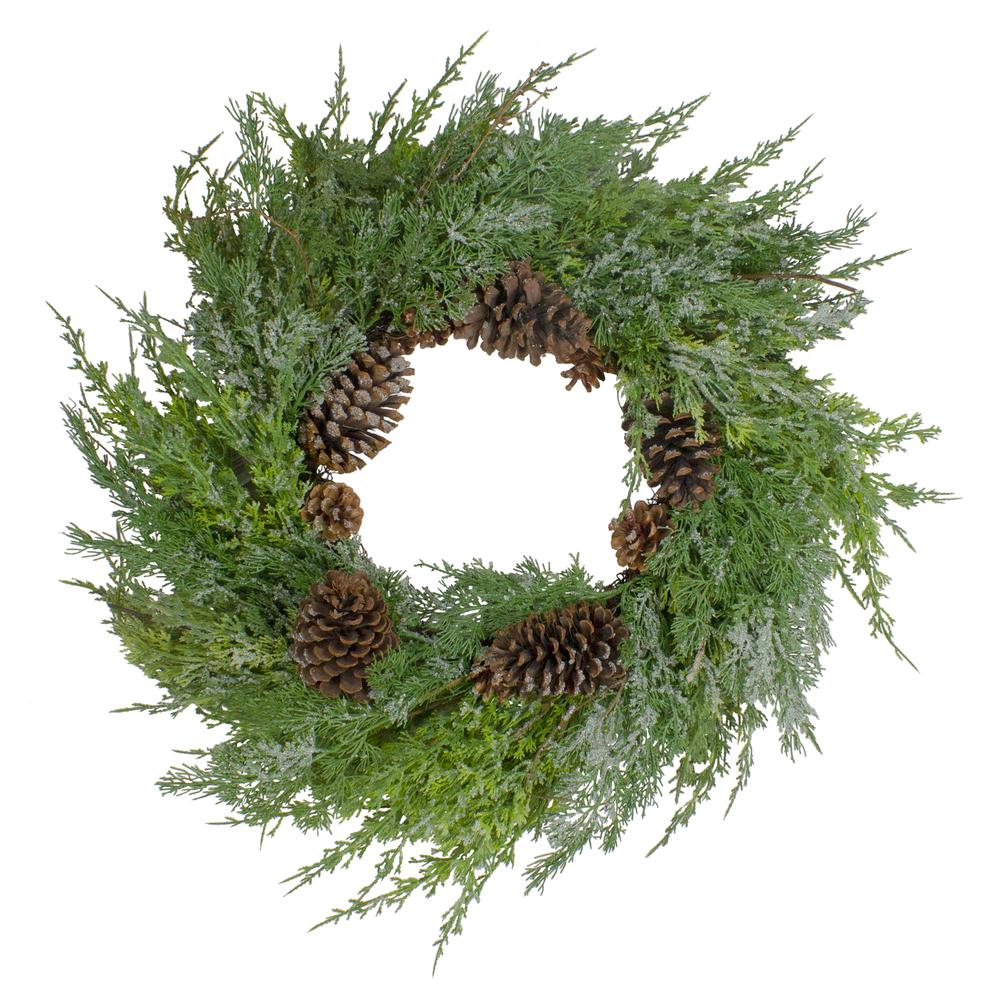 Frosted Cedar and Pine Cone Artificial Christmas Wreath  26-Inch  Unlit. Picture 1