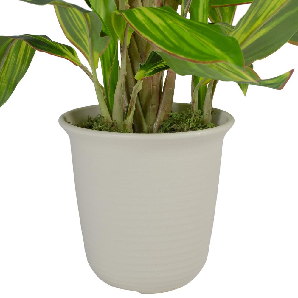 25" Green and Red Artificial Dracaena Plant in a Cream White Pot. Picture 5