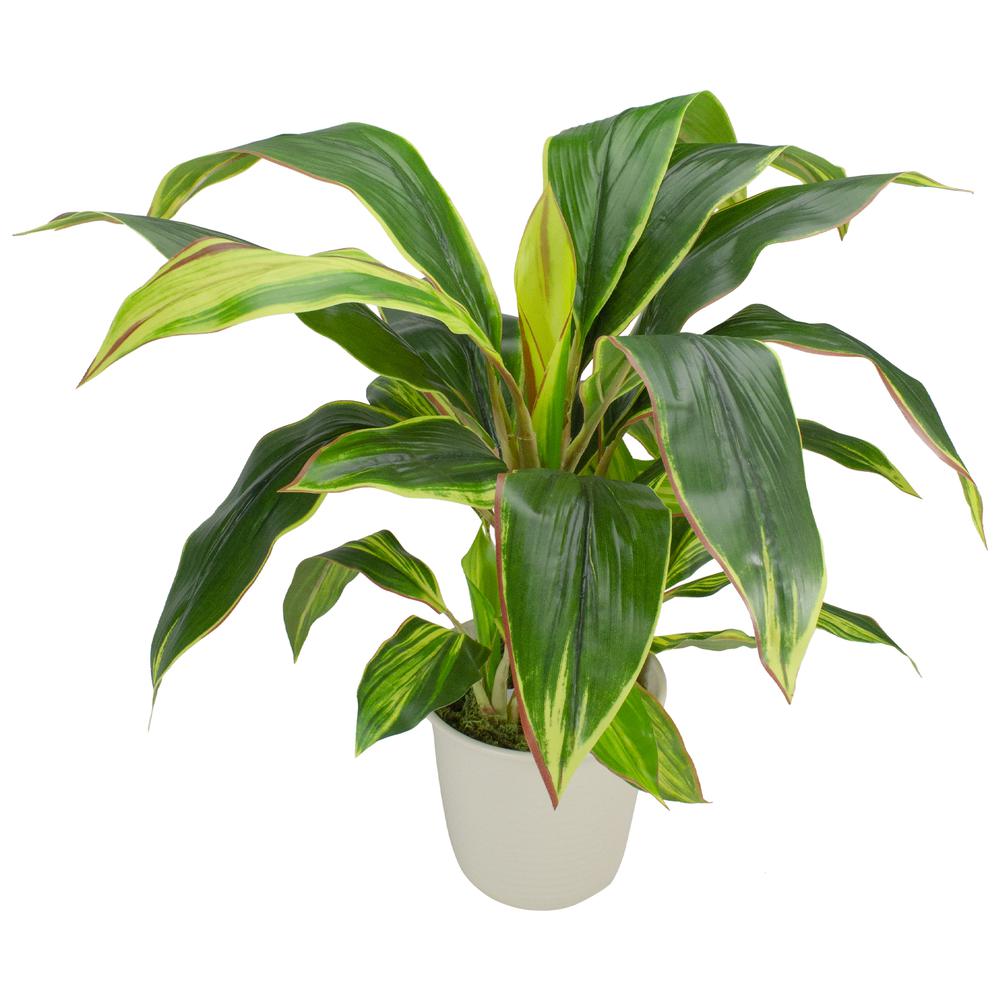 25" Green and Red Artificial Dracaena Plant in a Cream White Pot. Picture 4