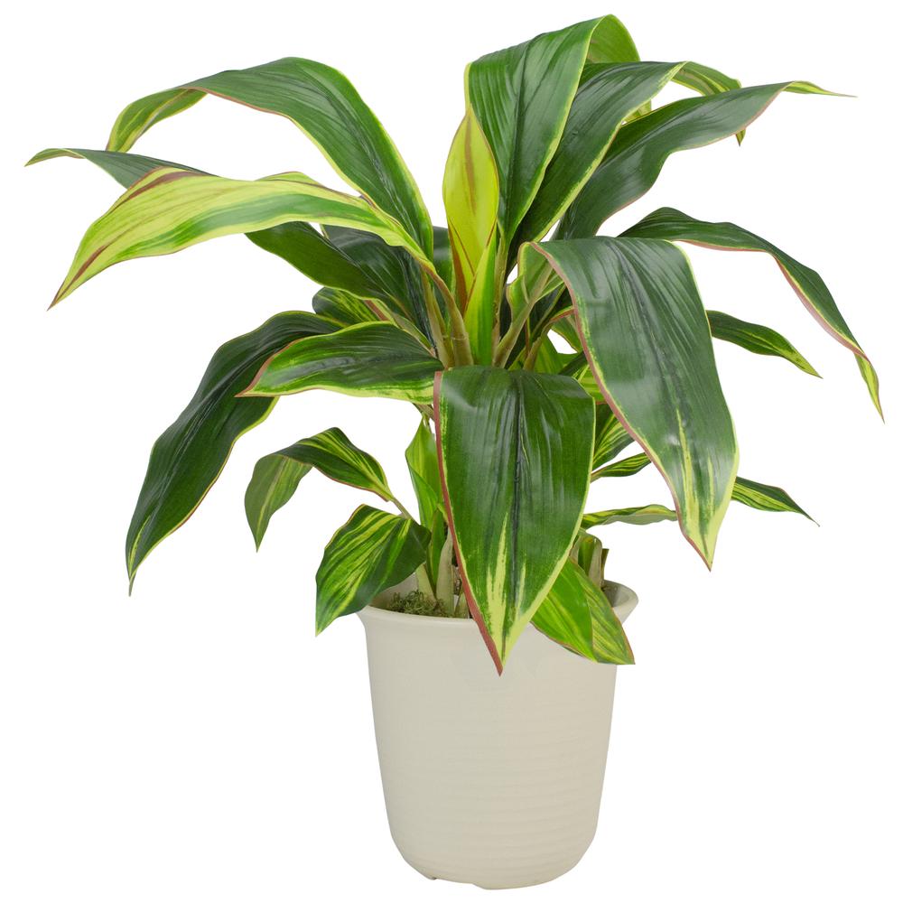 25" Green and Red Artificial Dracaena Plant in a Cream White Pot. Picture 1