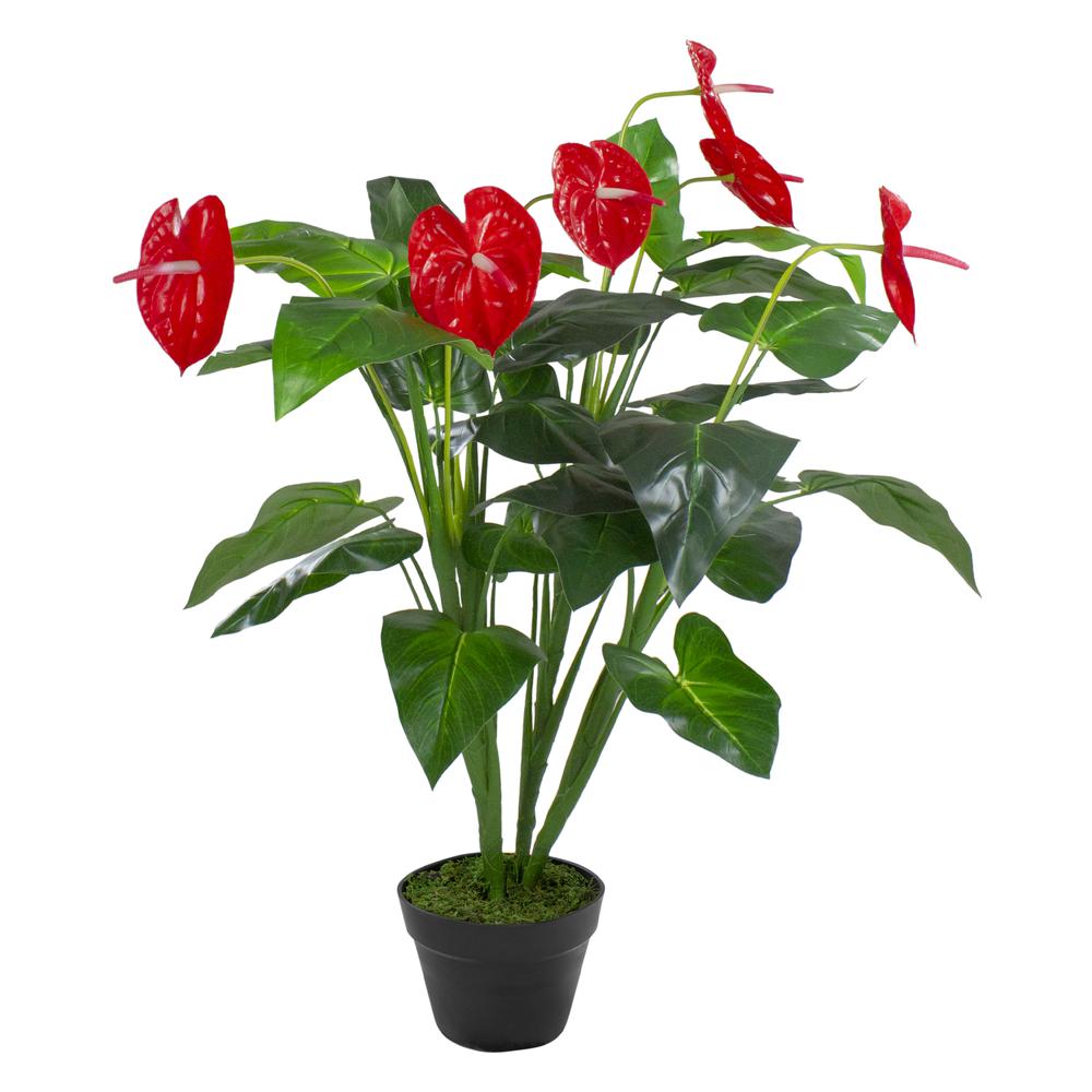41" Red and Black Potted Tropical Artificial Anthurium Plant In a Black Pot. Picture 1