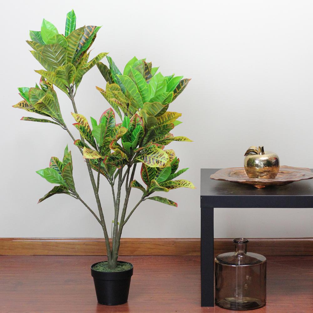 45.75" Green and Black Artificial Croton Tree with Variegated Leaves. Picture 4