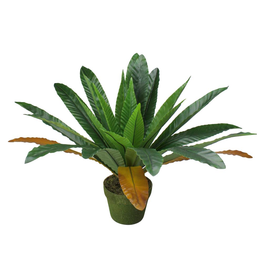 22" Potted Artificial Green and Brown Bird Nest Fern Plant. Picture 1