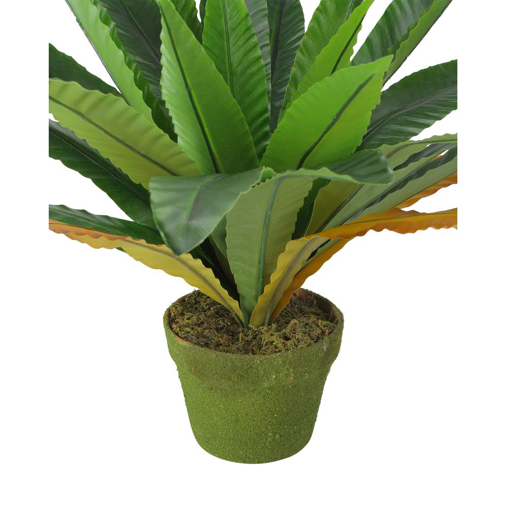 22" Potted Artificial Green and Brown Bird Nest Fern Plant. Picture 2