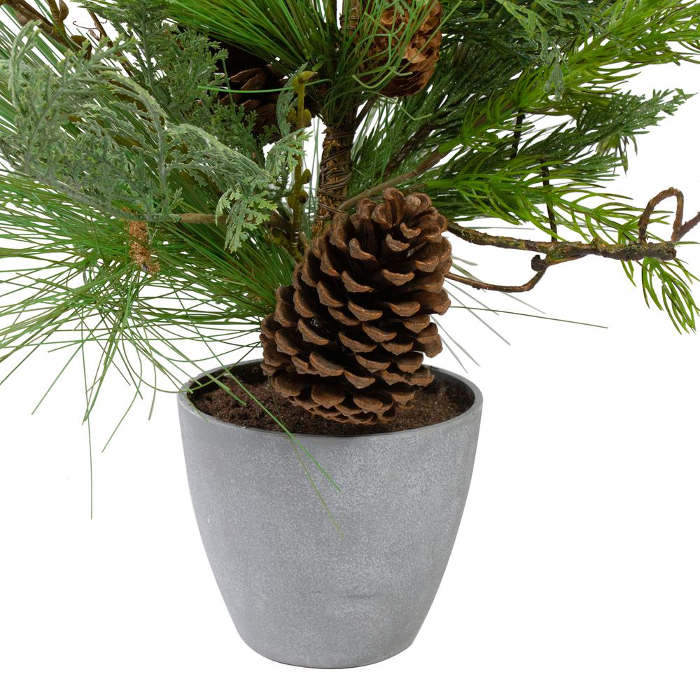 2' Potted Mixed Pine  Cedar and Twig Artificial Christmas Tree - Unlit. Picture 2