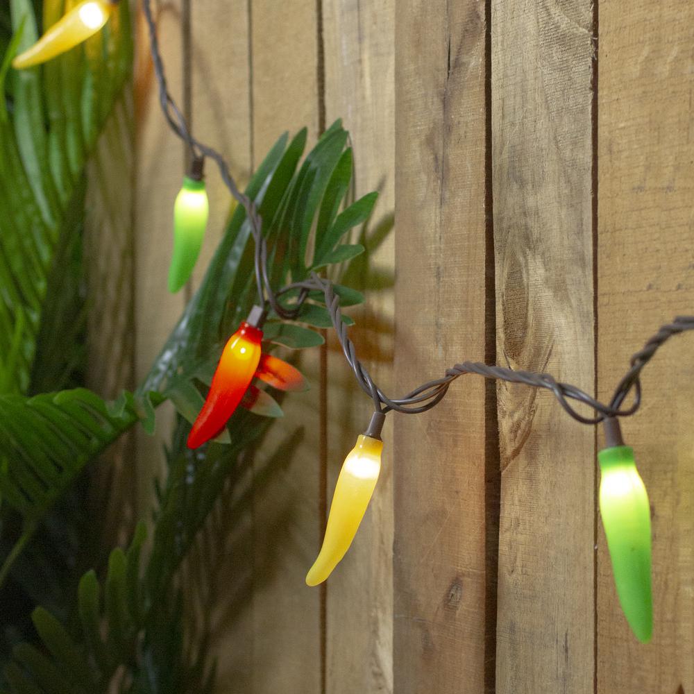 35-Count Vibrantly Colored Chili Pepper String Light Set  22.5' Brown Wire. Picture 2