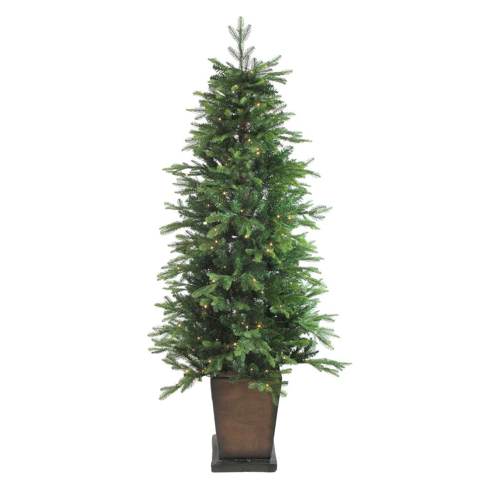 6' Pre-Lit Potted Oregon Noble Fir Slim Artificial Christmas Tree - Clear LED Lights. Picture 2