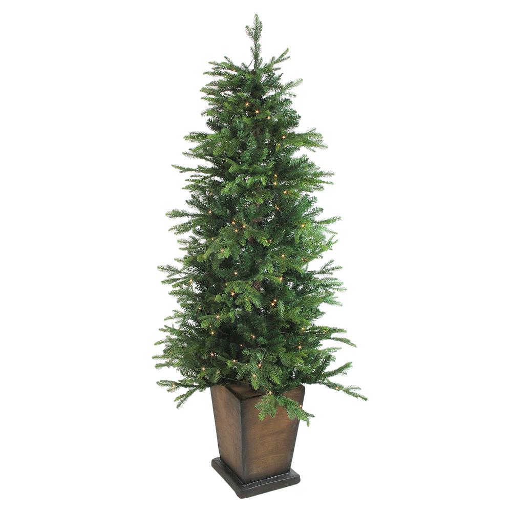 6' Pre-Lit Potted Oregon Noble Fir Slim Artificial Christmas Tree - Clear LED Lights. Picture 1