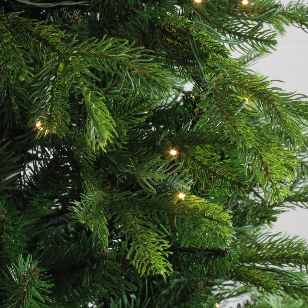 6' Pre-Lit Potted Oregon Noble Fir Slim Artificial Christmas Tree - Clear LED Lights. Picture 3