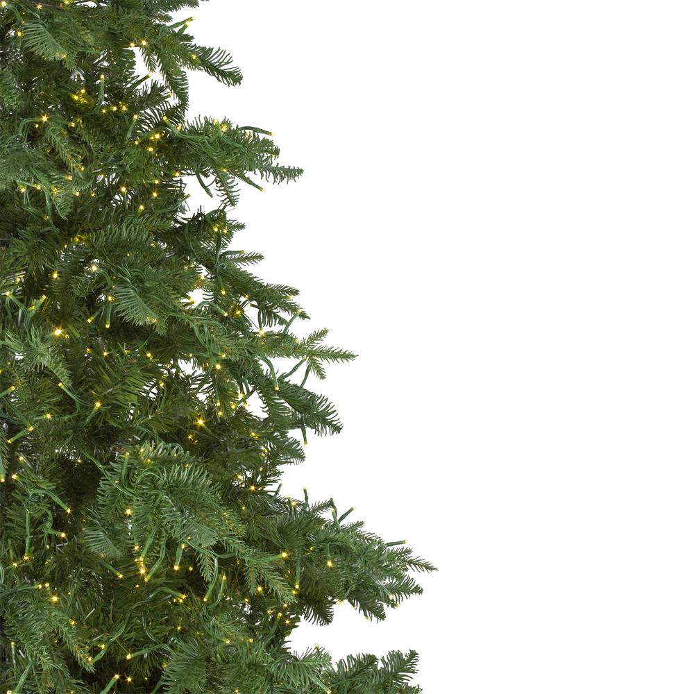 7.5' Pre-Lit Medium Mont Blanc Fir Artificial Christmas Tree - Dual Color LED Lights. Picture 4