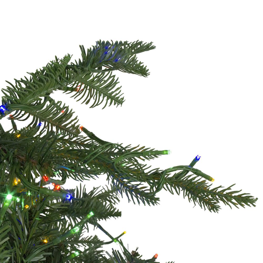 7.5' Pre-Lit Medium Mont Blanc Fir Artificial Christmas Tree - Dual Color LED Lights. Picture 6