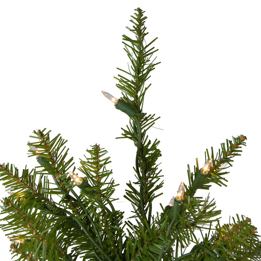 4' Pre-Lit Northern Pine Full Artificial Christmas Tree - Clear Lights. Picture 3