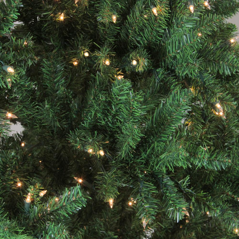 9.5' Pre-Lit Full Buffalo Fir Artificial Christmas Tree - Clear Lights. Picture 2