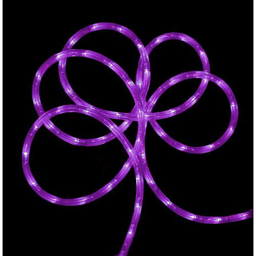 Purple Commercial Grade LED Outdoor Christmas Rope Lights on a Spool - 24 ft. Picture 2