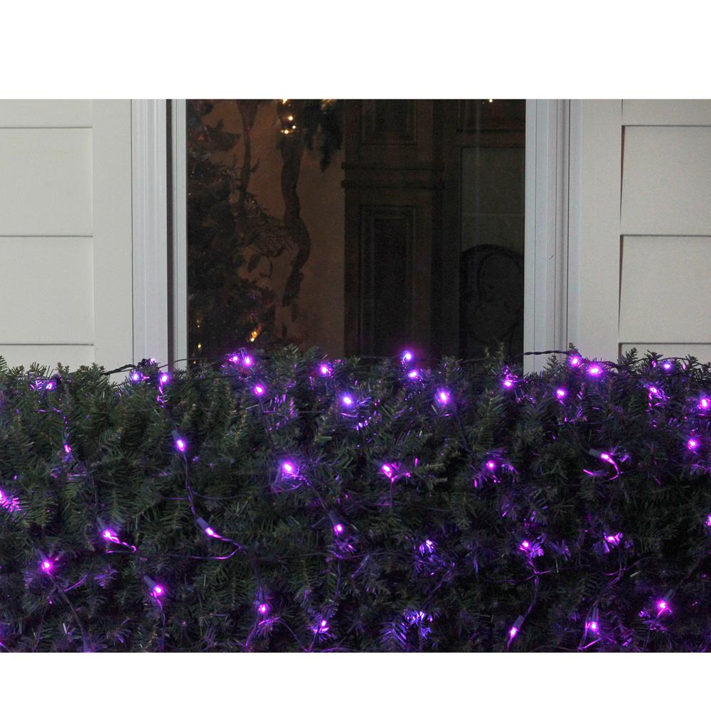4' x 6' Purple LED Wide Angle Net Style Christmas Lights - Green Wire. Picture 2