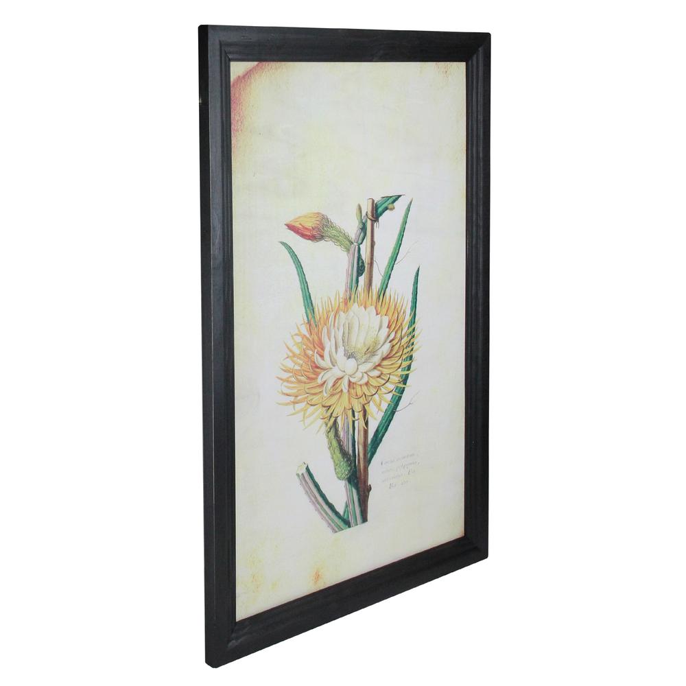 26" Yellow and Green Desert Baileya Flower with Black Photo Frame. Picture 2