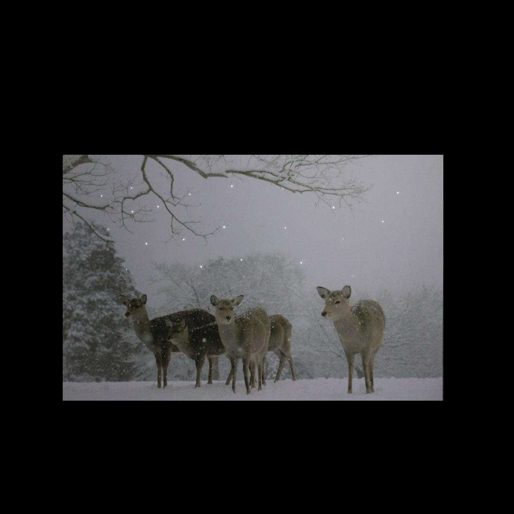 Small Fiber Optic Lighted Winter Woods with Deer Canvas Wall Art 12" x 11.75". Picture 2