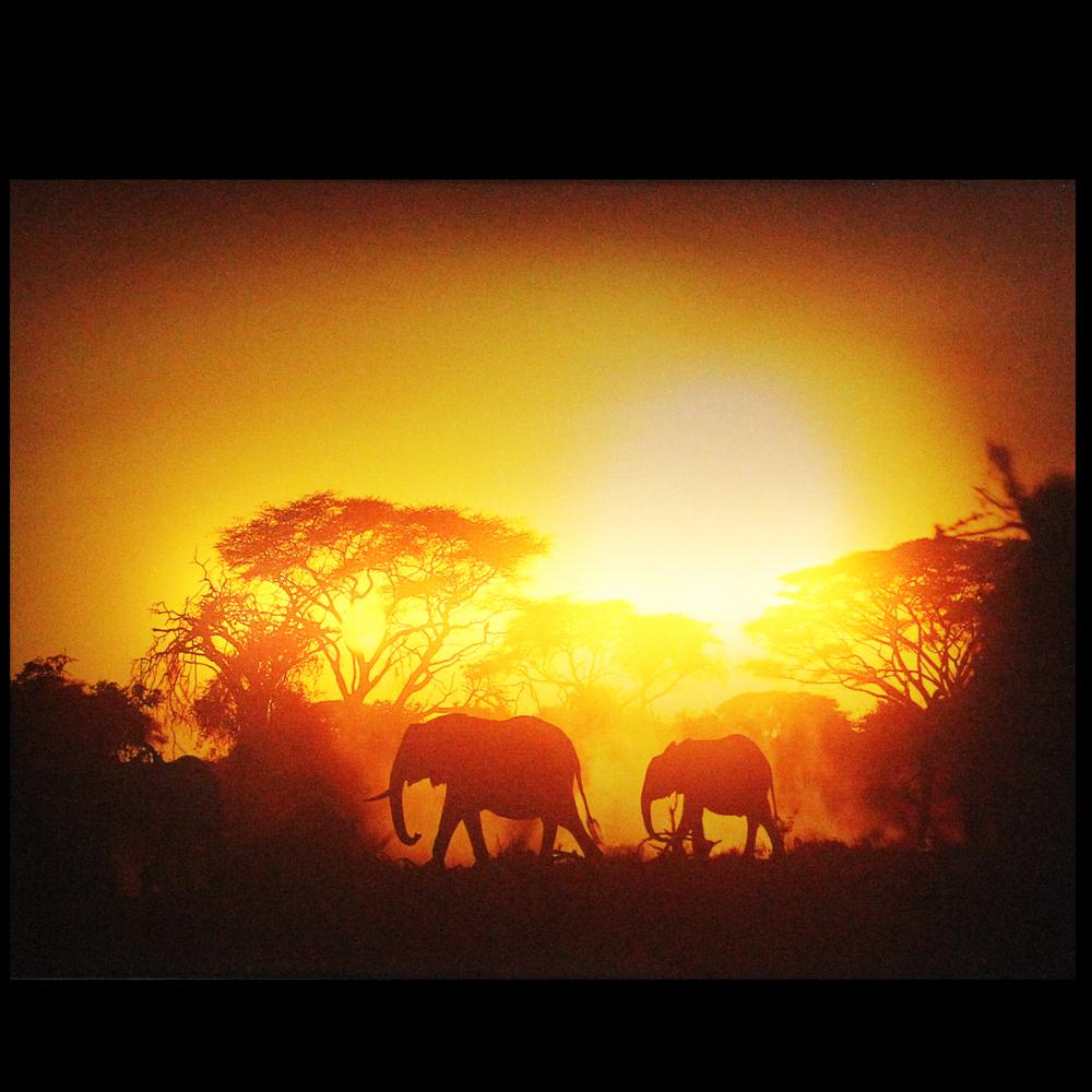 Safari Sunset LED Back Lit Decorative Elephant Canvas Wall Art 11.75" x 15.75". Picture 2