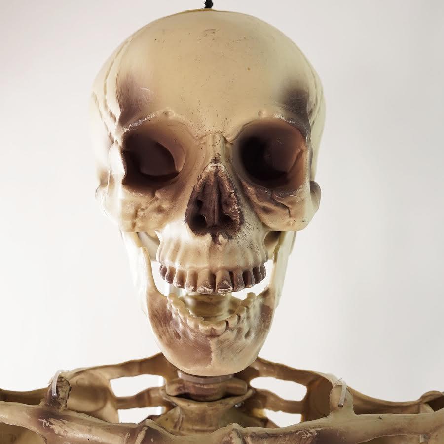 5' Life Size Skeleton Halloween Decoration. Picture 2