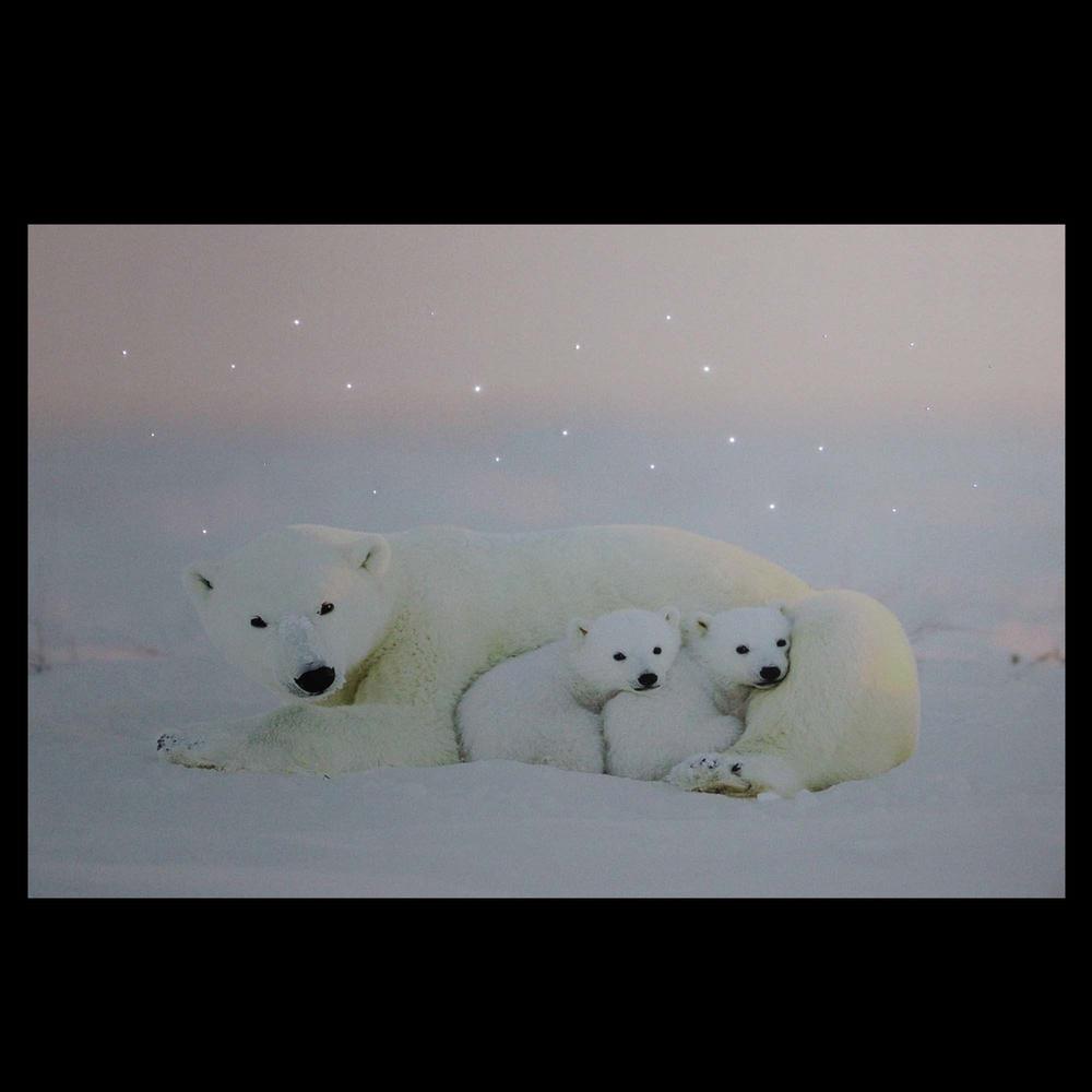 Fiber Optic Lighted Mama Polar Bear and Cubs Canvas Wall Art 23.5" x 15.5". Picture 3