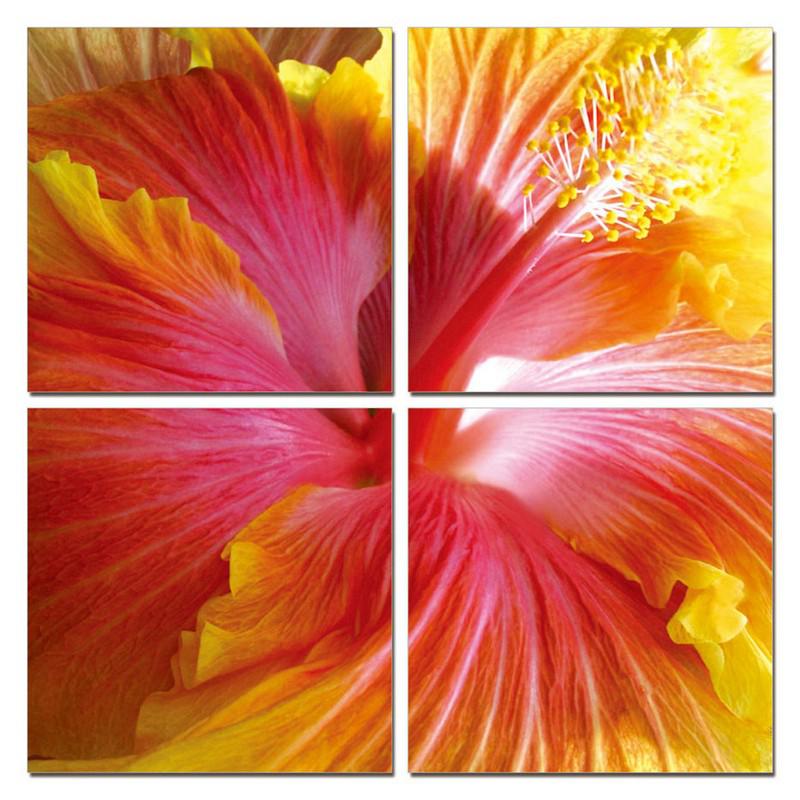 24" Multicolor Canvas 4 Panels Hibiscus Photo - 283991. Picture 1