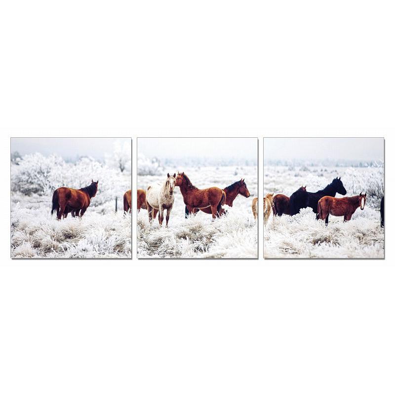 24" Multicolor Canvas 3 Horizontal Panels Horses Photo - 284005. Picture 1