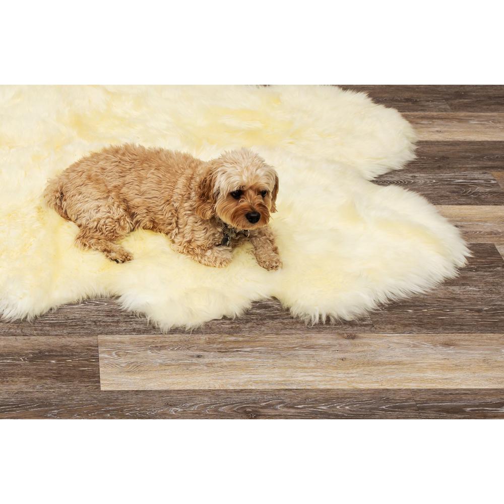 72" x 72" Natural Sheepskin Wool Area Rug - 293197. Picture 4