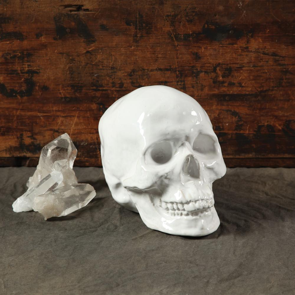 White Ceramic Skull Sculpture White. Picture 3