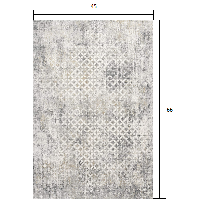 4’ x 6’ Gray and Ivory Distressed Area Rug Grey. Picture 8