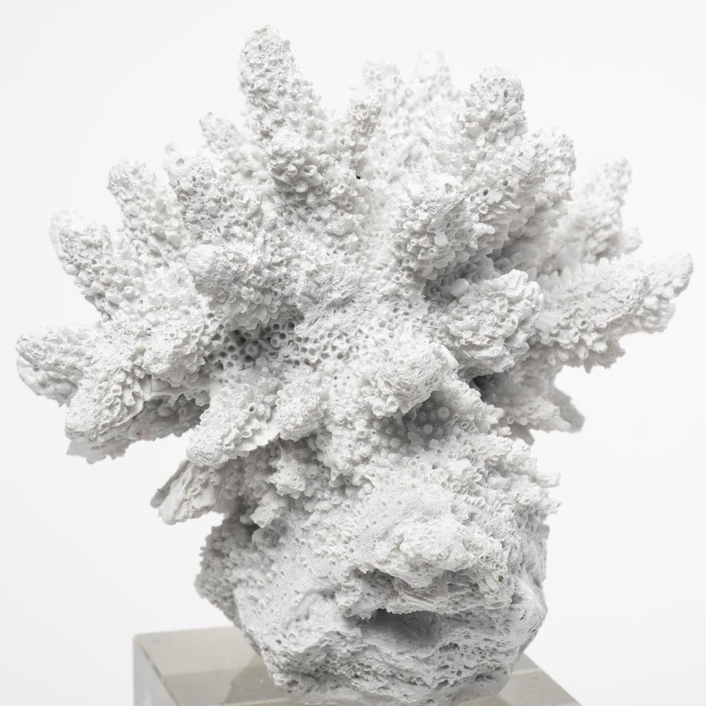 10" White Contempo Coral and Glass Sculpture White. Picture 3