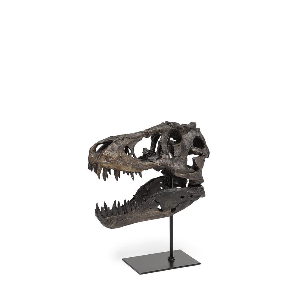 Brown Resin Tyrannosaurus Rex Skull Décor Piece Brown. Picture 1
