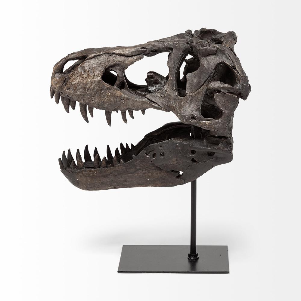 Brown Resin Tyrannosaurus Rex Skull Décor Piece Brown. Picture 3