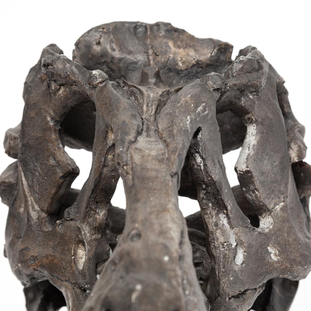 Brown Resin Tyrannosaurus Rex Skull Décor Piece Brown. Picture 9