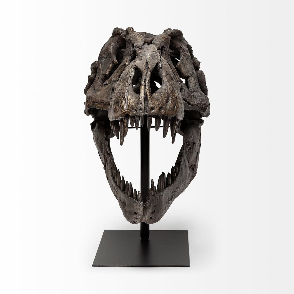 Authentic Replica T Rex Skull Sculpture Brown. Picture 2