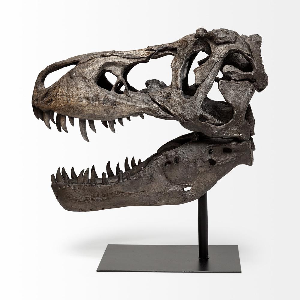 Authentic Replica T Rex Skull Sculpture Brown. Picture 3