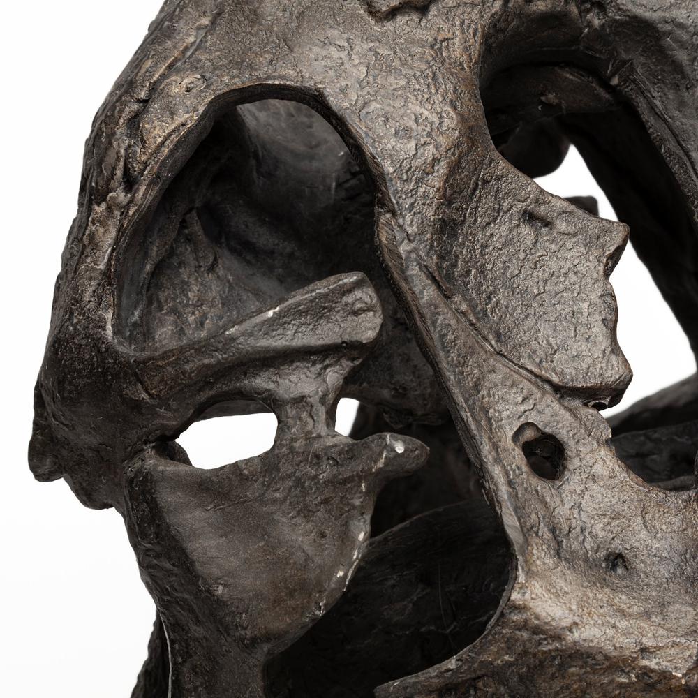 Authentic Replica T Rex Skull Sculpture Brown. Picture 9